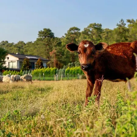 Narya, Peaceful In The Forest Апартаменты