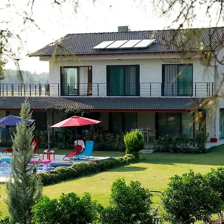 Narya, Peaceful In The Forest Кейджегиз